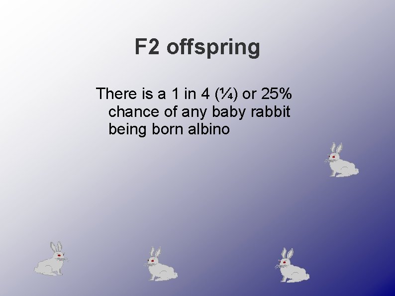 F 2 offspring There is a 1 in 4 (¼) or 25% chance of