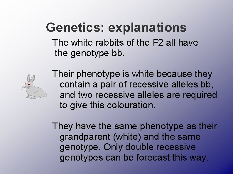 Genetics: explanations The white rabbits of the F 2 all have the genotype bb.