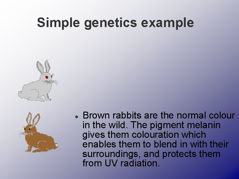 Simple genetics example Brown rabbits are the normal colour in the wild. The pigment