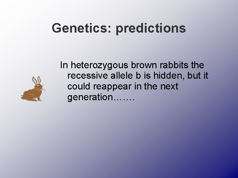 Genetics: predictions In heterozygous brown rabbits the recessive allele b is hidden, but it