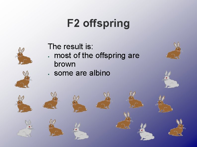 F 2 offspring The result is: most of the offspring are brown some are