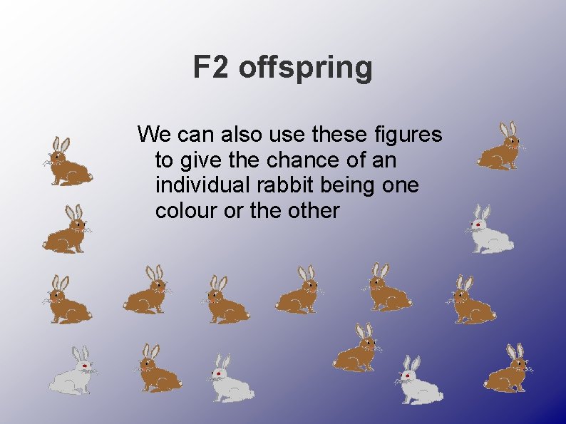 F 2 offspring We can also use these figures to give the chance of