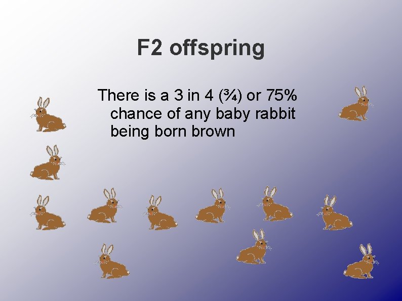 F 2 offspring There is a 3 in 4 (¾) or 75% chance of