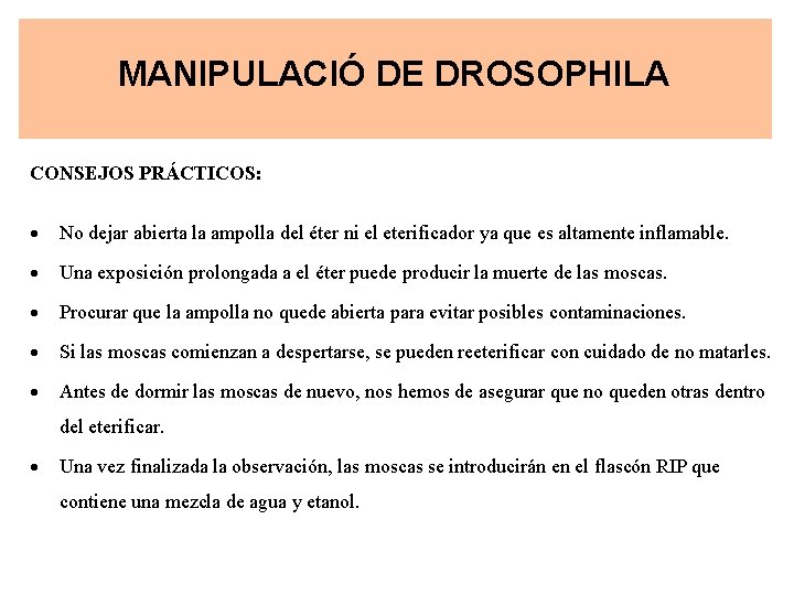MANIPULACIÓ DE DROSOPHILA CONSEJOS PRÁCTICOS: No dejar abierta la ampolla del éter ni el
