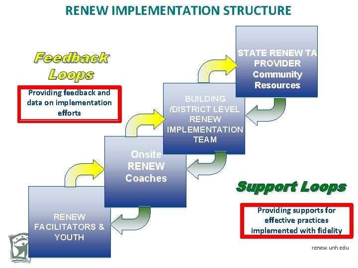 RENEW IMPLEMENTATION STRUCTURE Feedback Loops Providing feedback and data on implementation efforts STATE RENEW