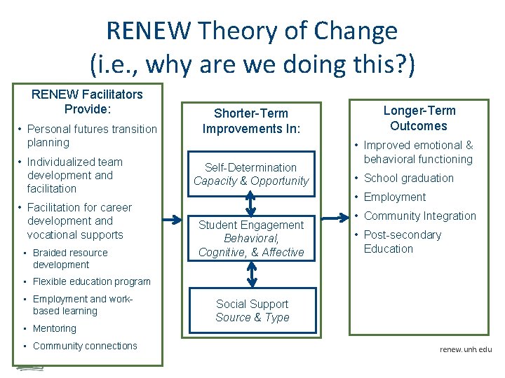 RENEW Theory of Change (i. e. , why are we doing this? ) RENEW