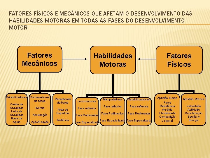 FATORES FÍSICOS E MEC NICOS QUE AFETAM O DESENVOLVIMENTO DAS HABILIDADES MOTORAS EM TODAS