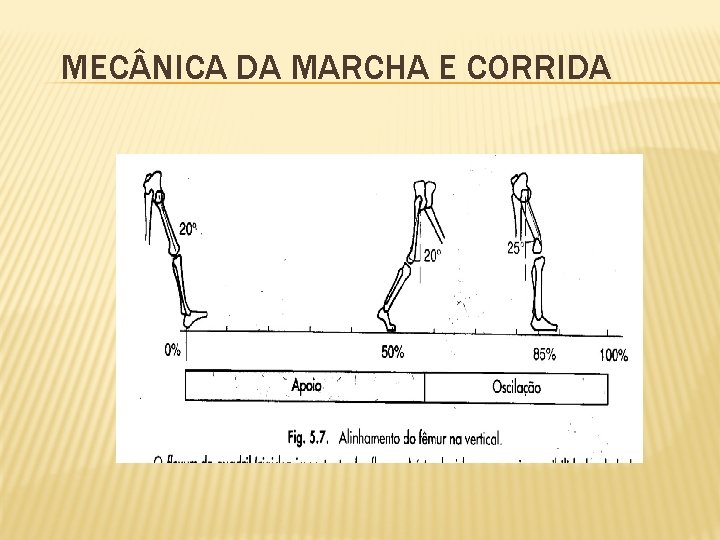 MEC NICA DA MARCHA E CORRIDA 