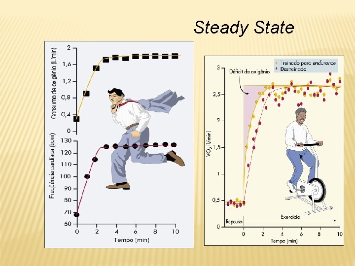 Steady State 