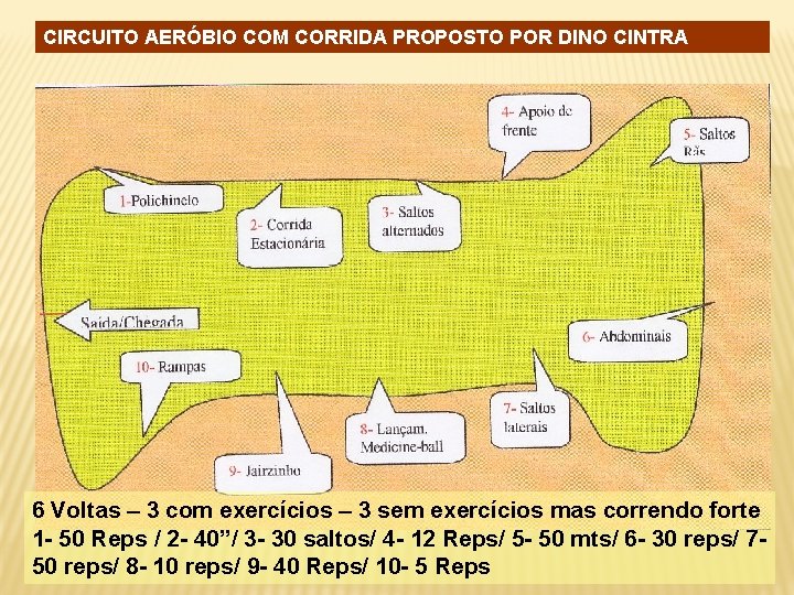 CIRCUITO AERÓBIO COM CORRIDA PROPOSTO POR DINO CINTRA 6 Voltas – 3 com exercícios