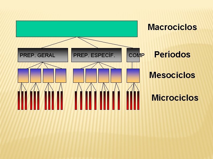 Macrociclos PREP. GERAL PREP. ESPECÍF. COMP Períodos Mesociclos Microciclos 