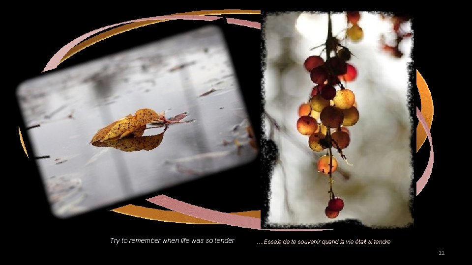 Try to remember when life was so tender …. Essaie de te souvenir quand