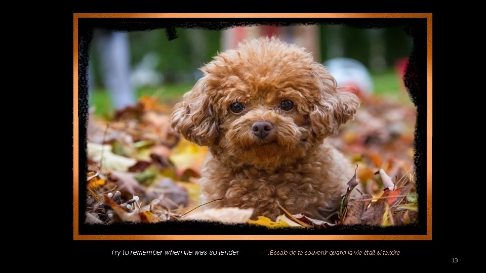 Try to remember when life was so tender …. Essaie de te souvenir quand