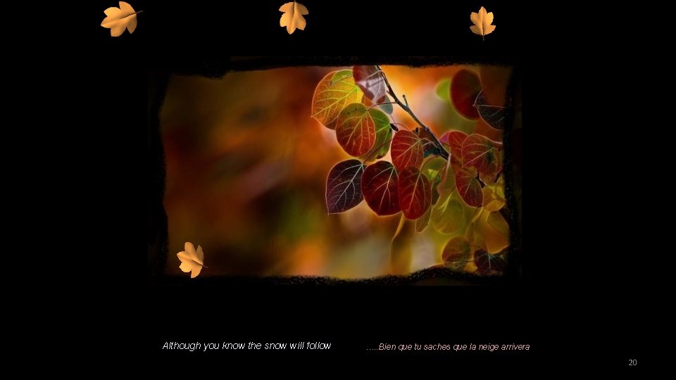 Although you know the snow will follow …. . Bien que tu saches que