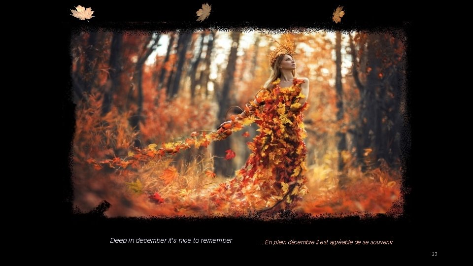 Deep in december it’s nice to remember …. . En plein décembre il est