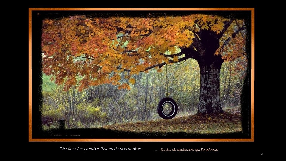 The fire of september that made you mellow ……Du feu de septembre qui t’a