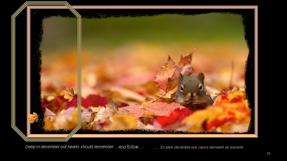 Deep in december our hearts should remember… And follow… ……En plein décembre nos cœurs
