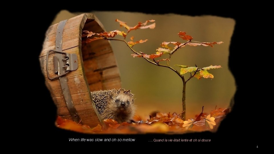 When life was slow and oh so mellow …. . Quand la vie était