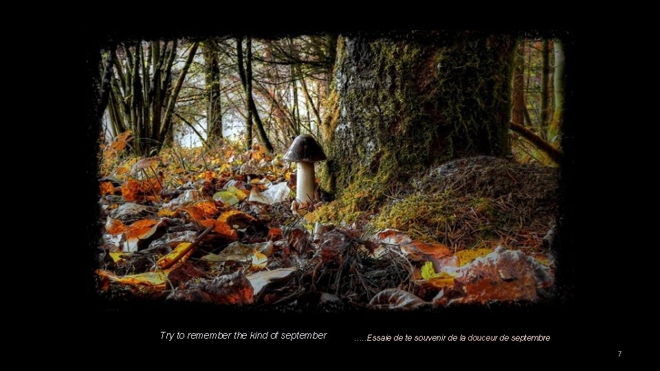 Try to remember the kind of september …. . Essaie de te souvenir de