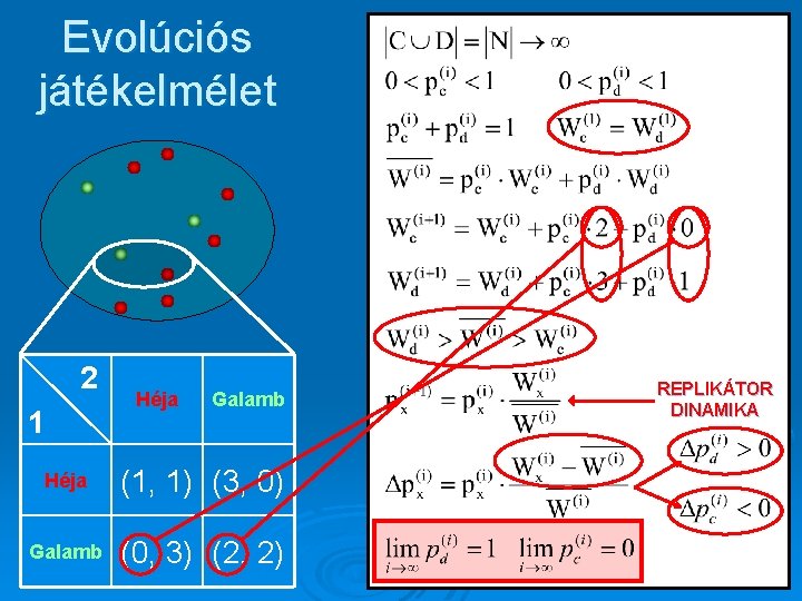 Evolúciós játékelmélet 2 1 Héja Galamb Héja (1, 1) (3, 0) Galamb (0, 3)