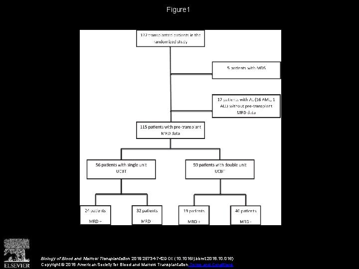 Figure 1 Biology of Blood and Marrow Transplantation 2019 25734 -742 DOI: (10. 1016/j.