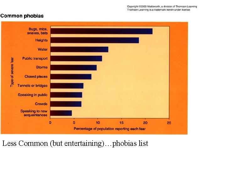 Common Phobias Less Common (but entertaining)…phobias list 