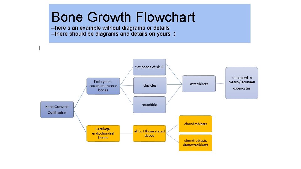 Bone Growth Flowchart --here’s an example without diagrams or details --there should be diagrams