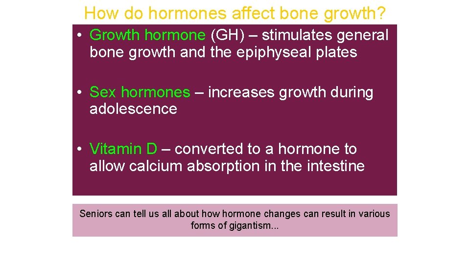 How do hormones affect bone growth? • Growth hormone (GH) – stimulates general bone