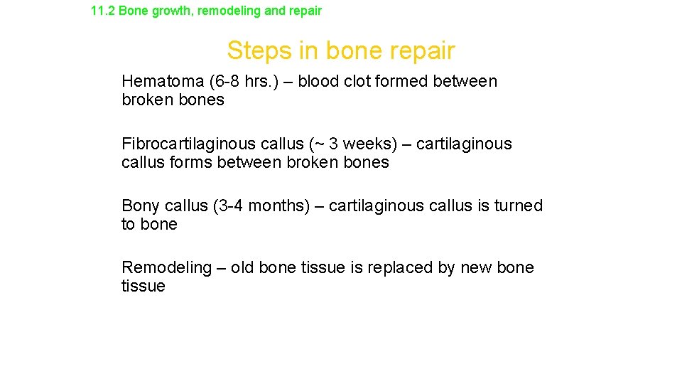 11. 2 Bone growth, remodeling and repair Steps in bone repair • Hematoma (6
