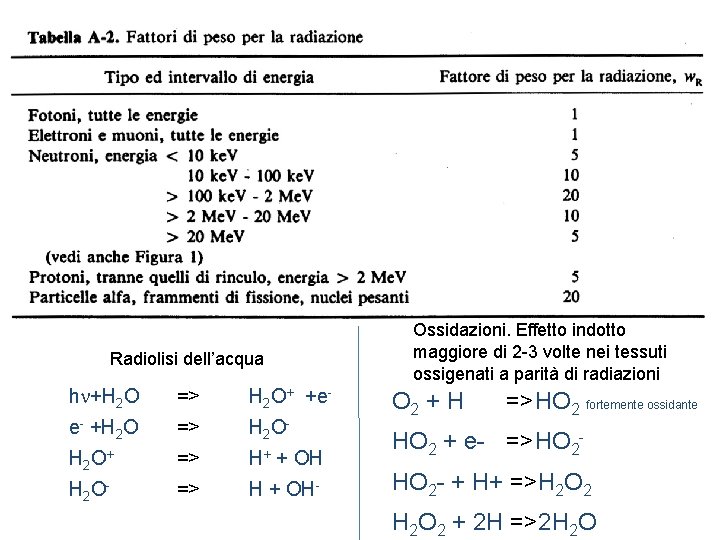 Radiolisi dell’acqua h +H 2 O => H 2 O+ +e- e- +H 2