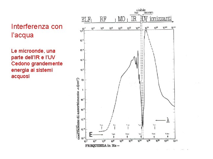 Interferenza con l’acqua Le microonde, una parte dell’IR e l’UV Cedono grandemente energia ai