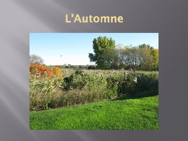 L’Automne 