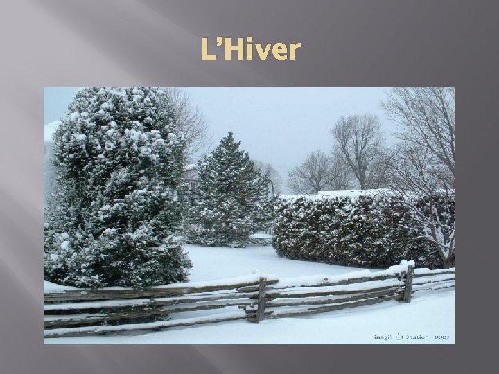 L’Hiver 