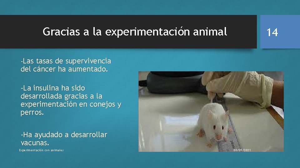 Gracias a la experimentación animal 14 -Las tasas de supervivencia del cáncer ha aumentado.