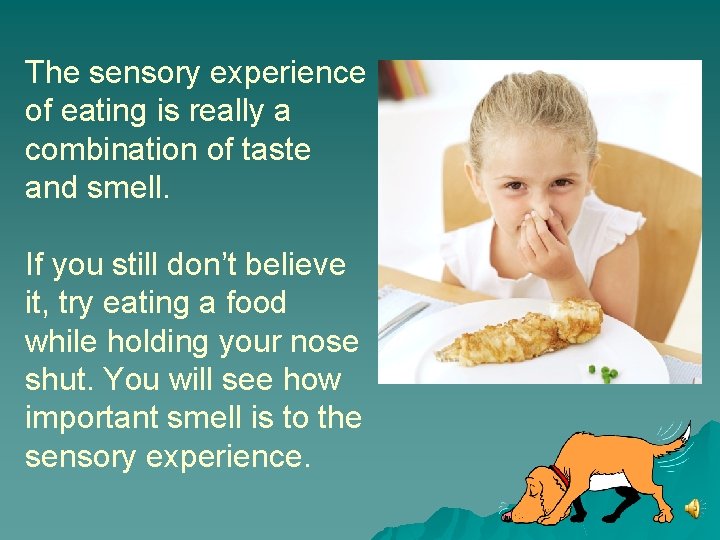 The sensory experience of eating is really a combination of taste and smell. If