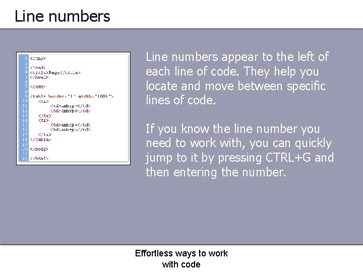 Line numbers appear to the left of each line of code. They help you