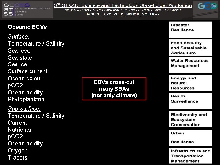 Oceanic ECVs Surface: Temperature / Salinity Sea level Sea state Sea ice Surface current