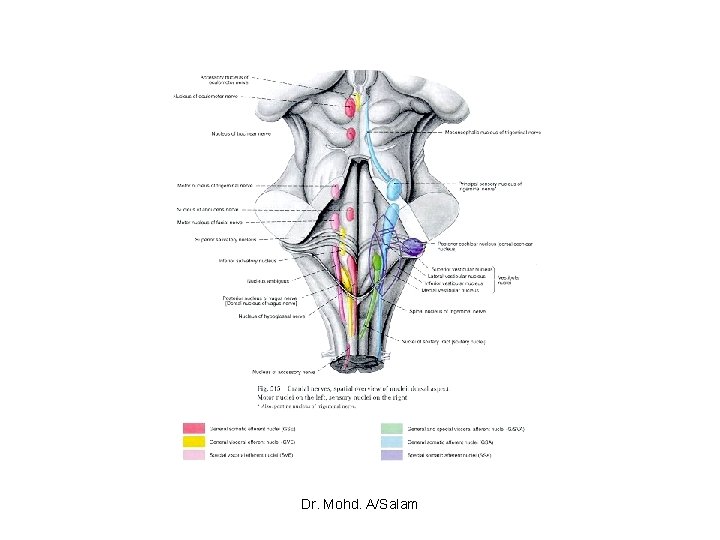 Dr. Mohd. A/Salam 