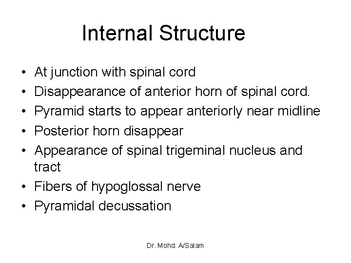 Brain stem Dr Mohamed Abdel Salam Nurein Anatomy