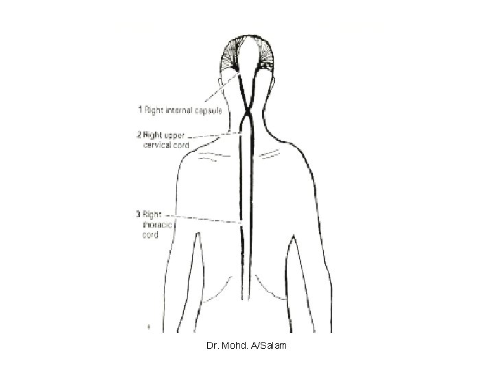 Dr. Mohd. A/Salam 