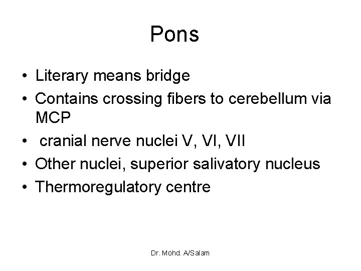 Pons • Literary means bridge • Contains crossing fibers to cerebellum via MCP •
