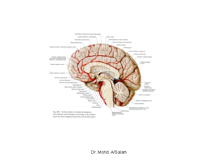 Dr. Mohd. A/Salam 