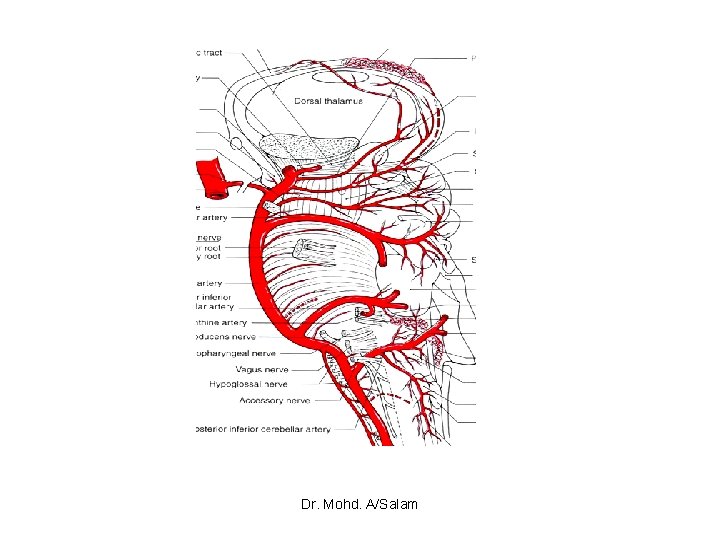 Dr. Mohd. A/Salam 