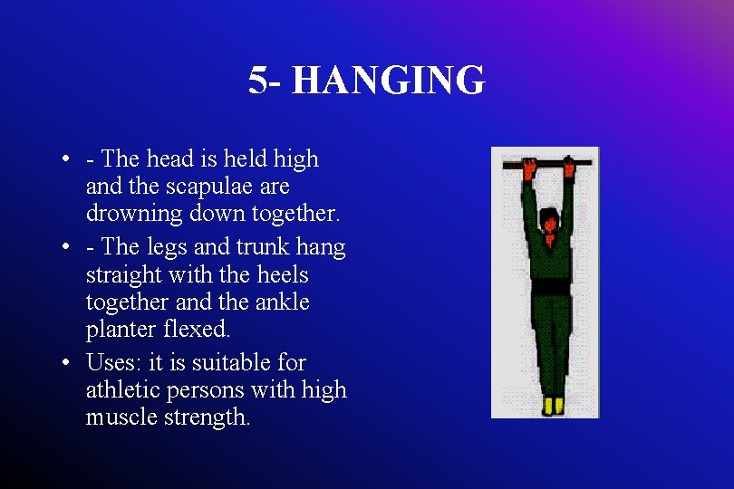 5 - HANGING • - The head is held high and the scapulae are