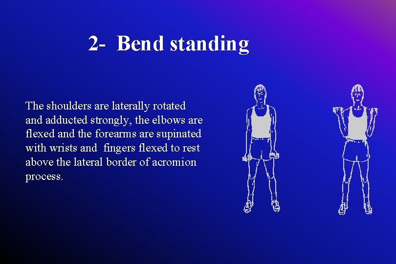 2 - Bend standing The shoulders are laterally rotated and adducted strongly, the elbows