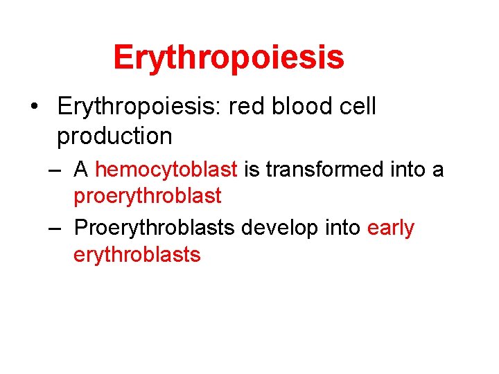 Erythropoiesis • Erythropoiesis: red blood cell production – A hemocytoblast is transformed into a