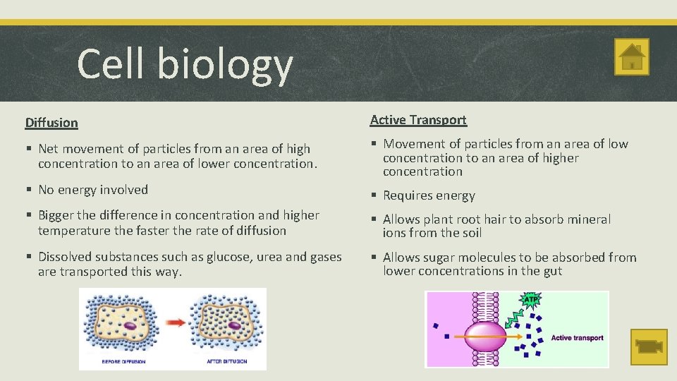 Cell biology Diffusion Active Transport § Net movement of particles from an area of