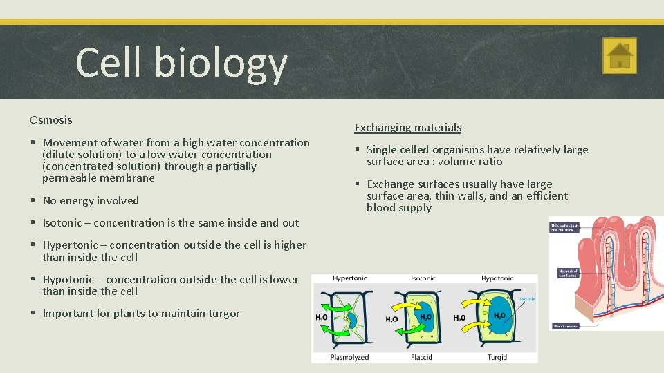 Cell biology Osmosis § Movement of water from a high water concentration (dilute solution)