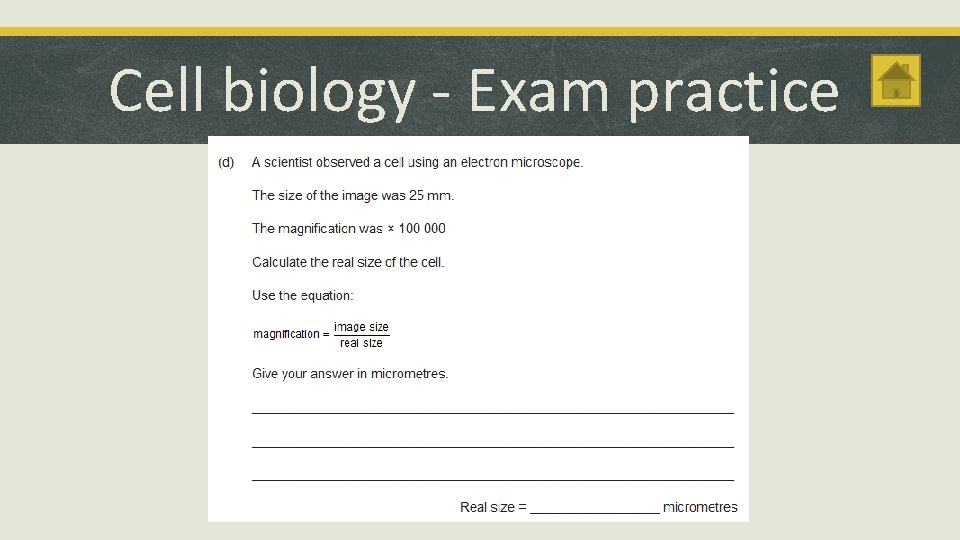 Cell biology - Exam practice 