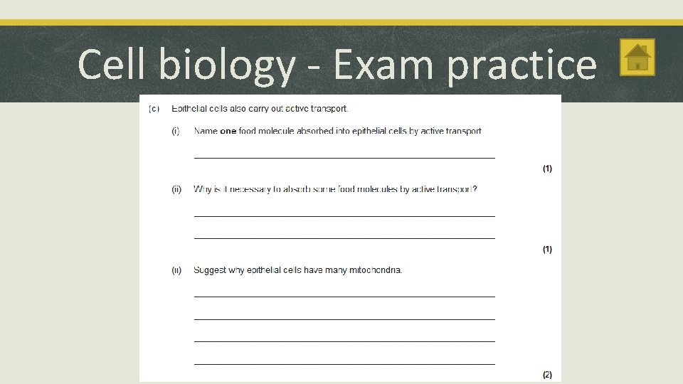 Cell biology - Exam practice 